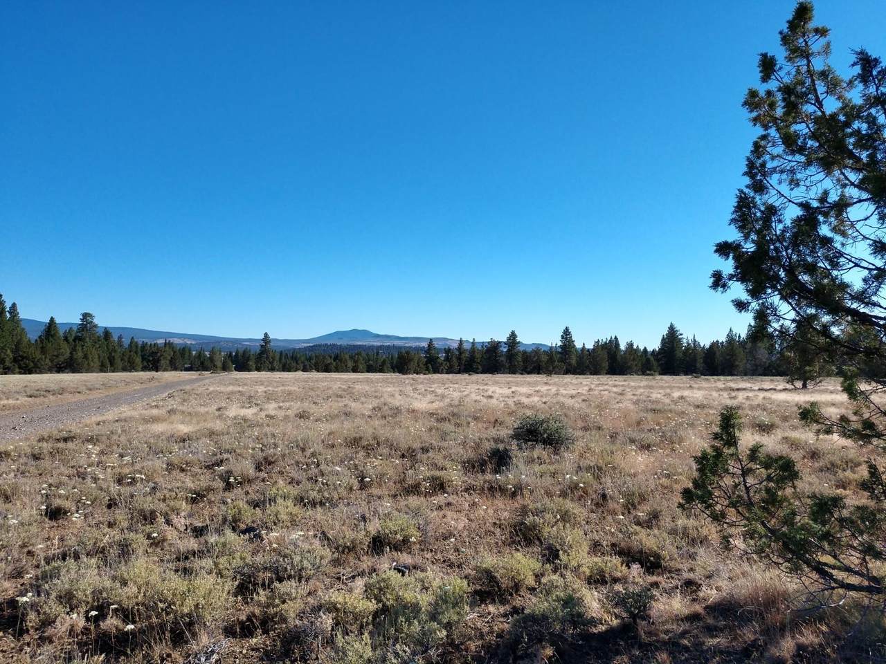 01400 Wright Way - Photo 1