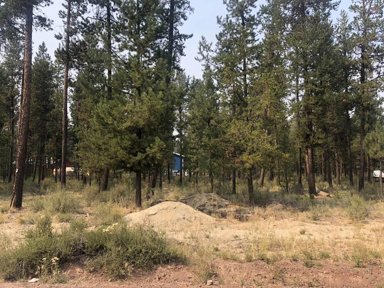 17076 Indio Road - Photo 1