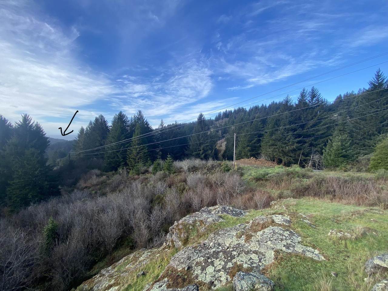 20352 Whaleshead Road - Photo 1