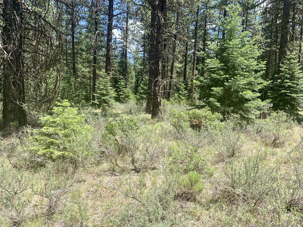 0 Varney Creek Road - Photo 1