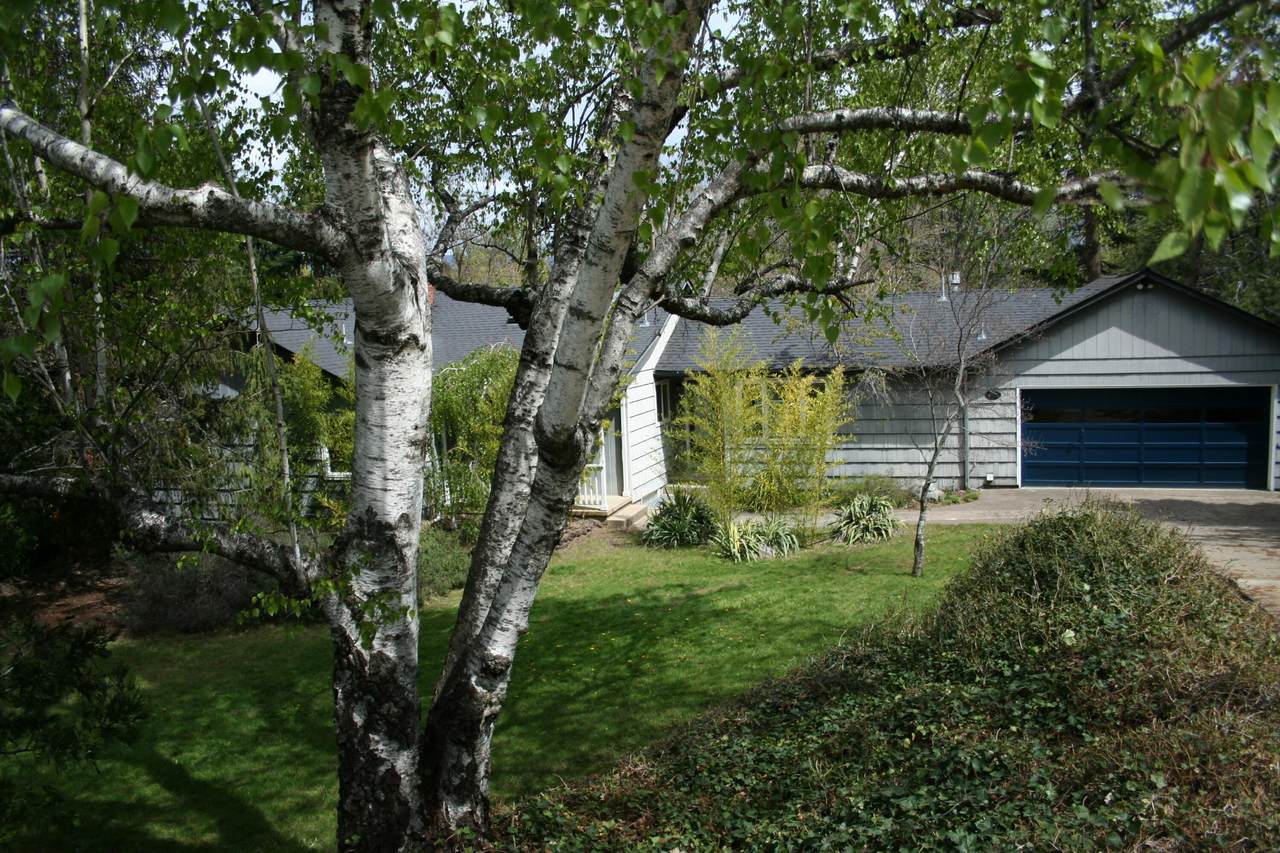 932 Walker Avenue - Photo 1