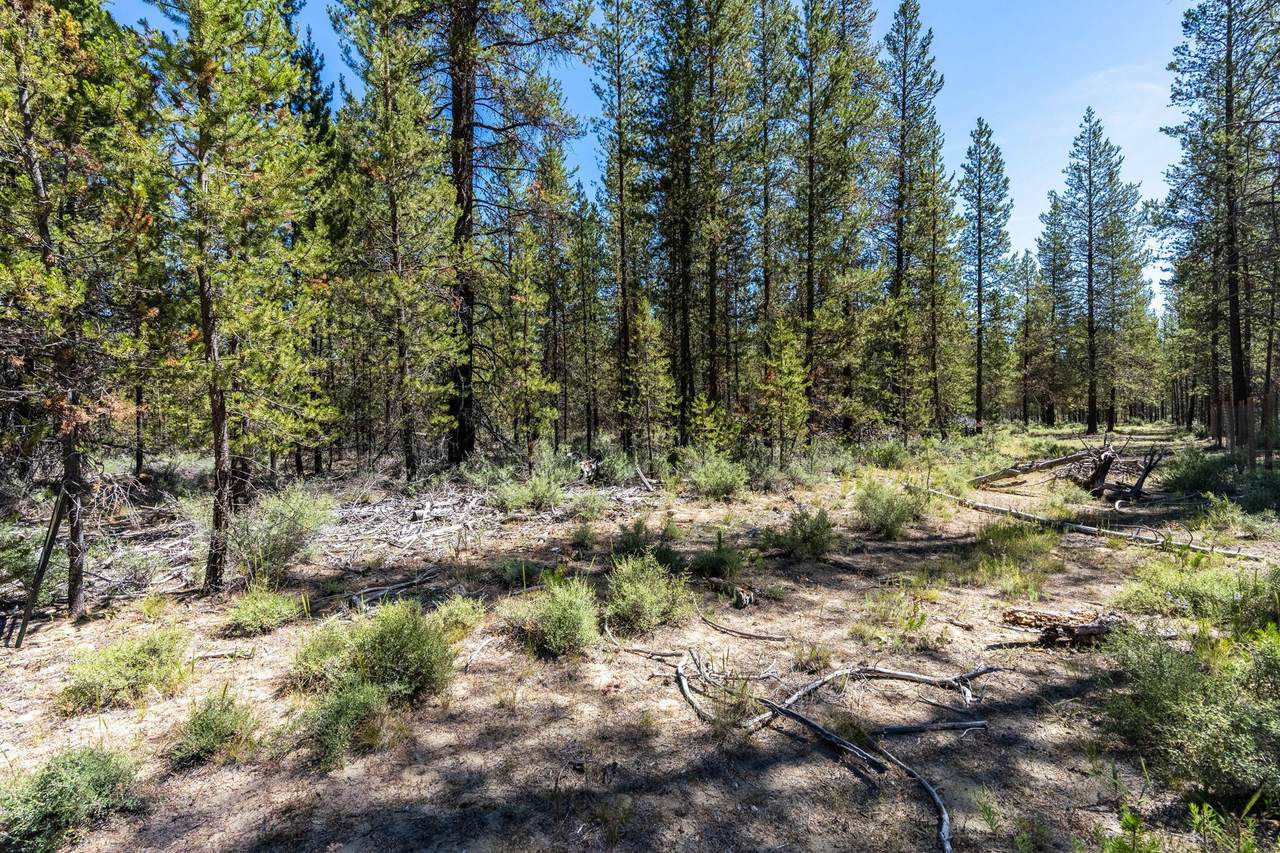 TL1300 Dustan Road - Photo 1