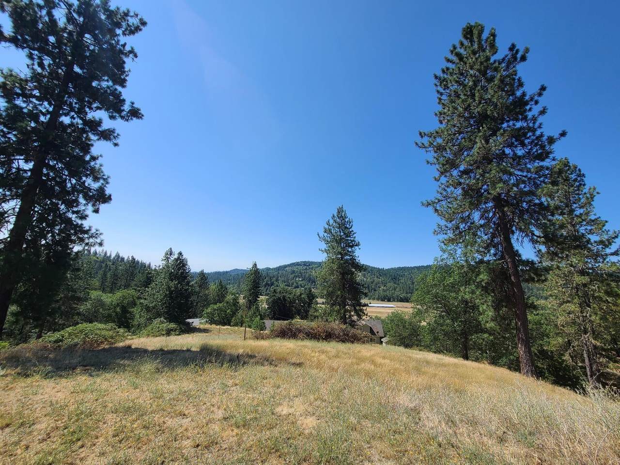 2592 Galice Road - Photo 1