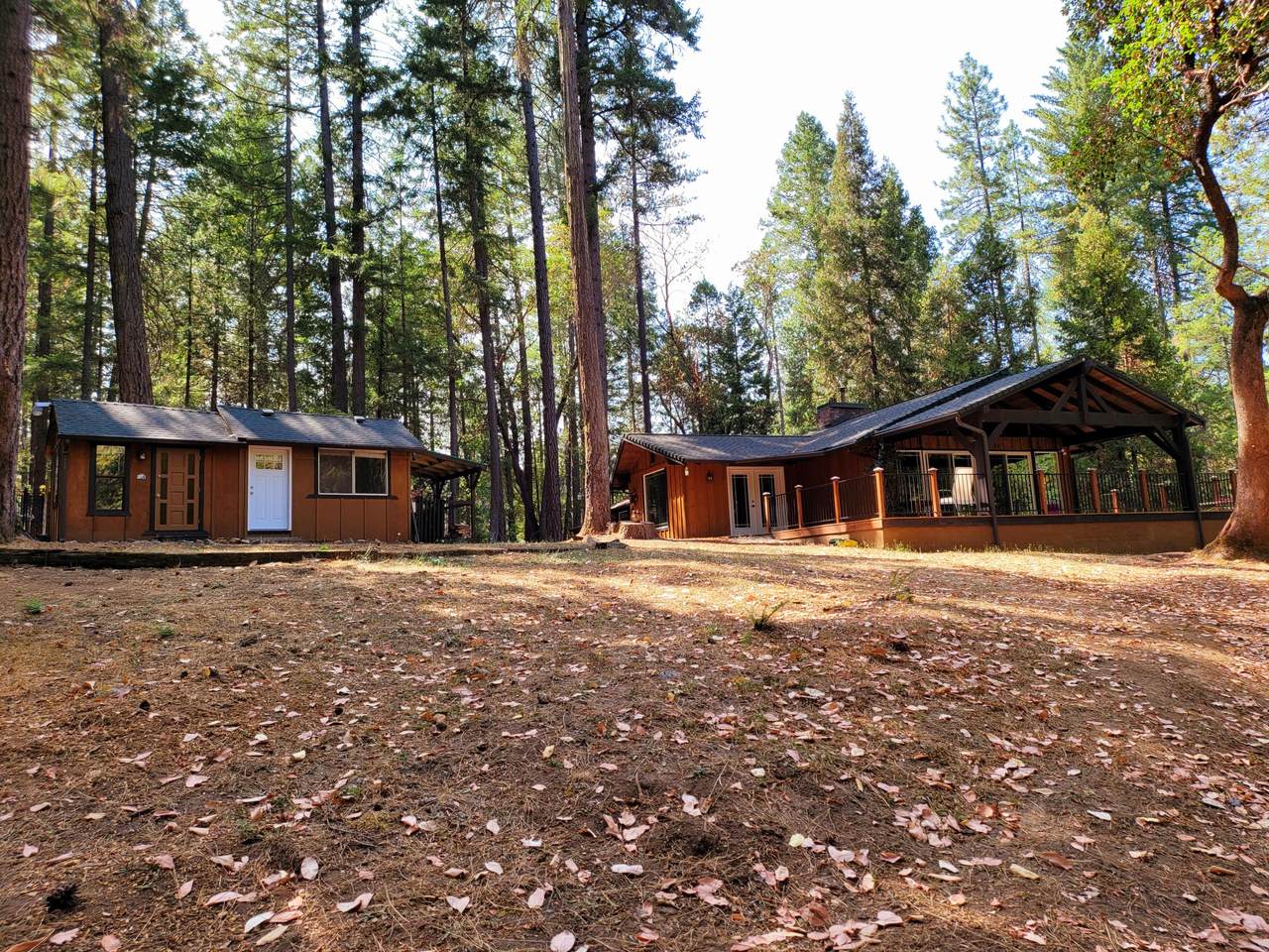 555 Ewe Creek Road - Photo 1