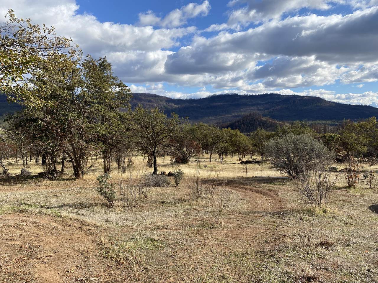 4723 Butte Falls Highway - Photo 1