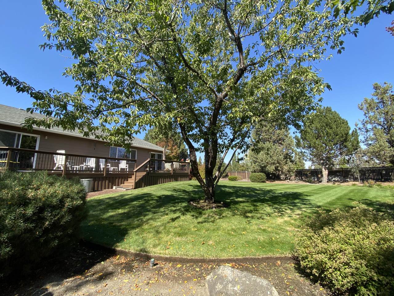 63062 Desert Sage Street - Photo 1