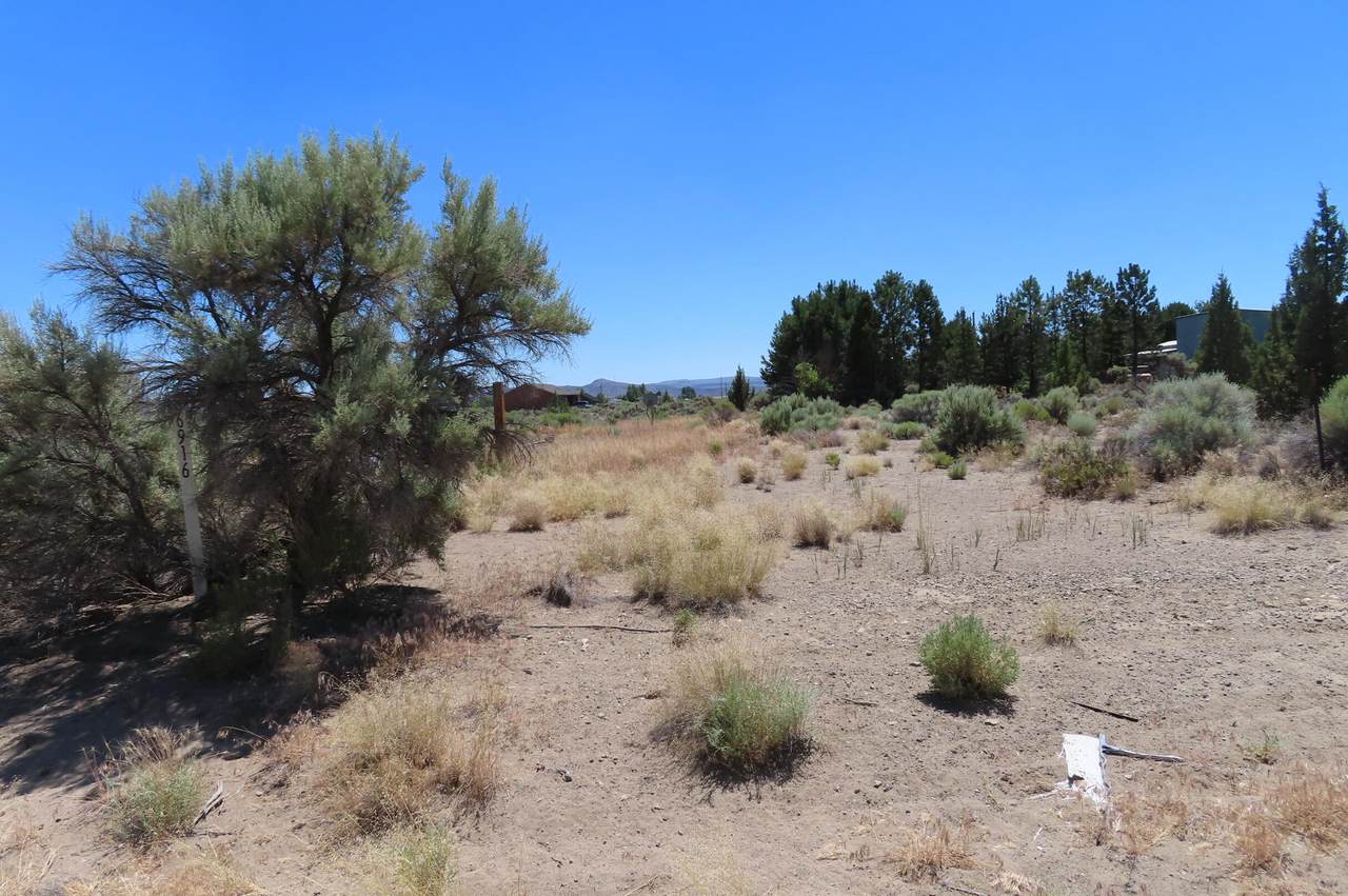 86916 Summer Lane - Photo 1