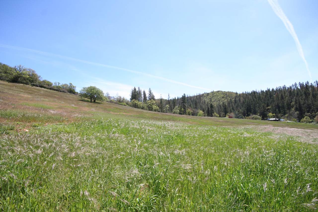 271 Spencer Gulch Road - Photo 1