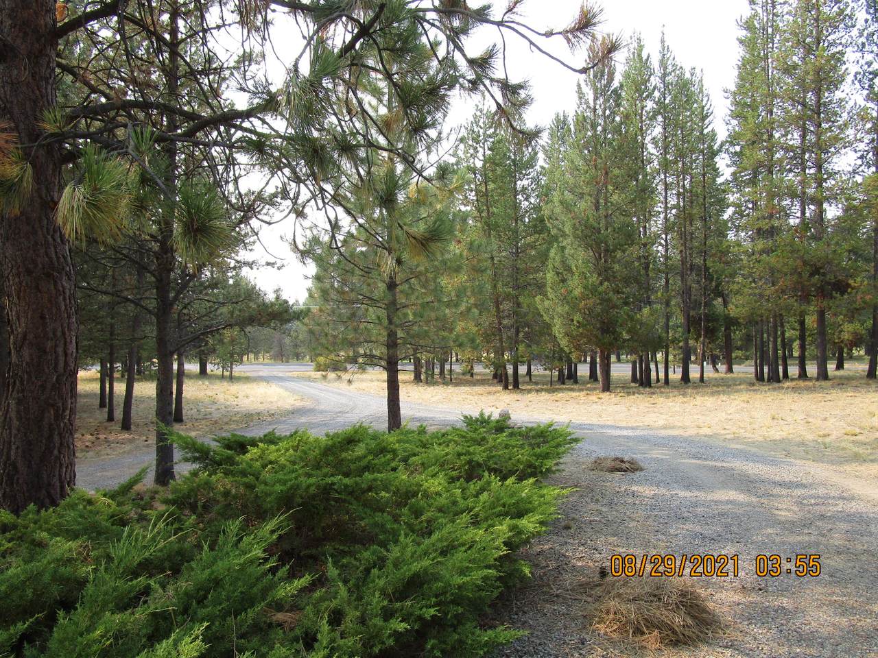 53564 Riverview Drive - Photo 1