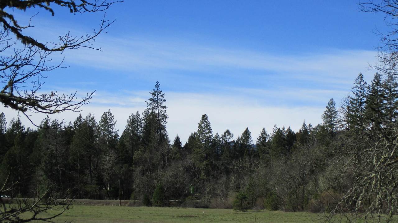 Laurel Road - Photo 1