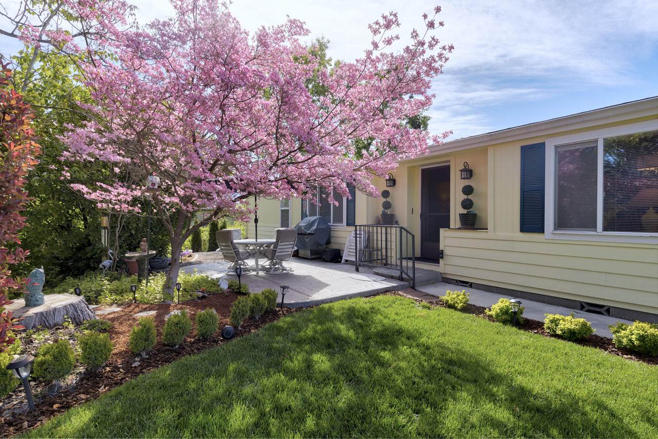 123 Wrightwood Circle - Photo 1
