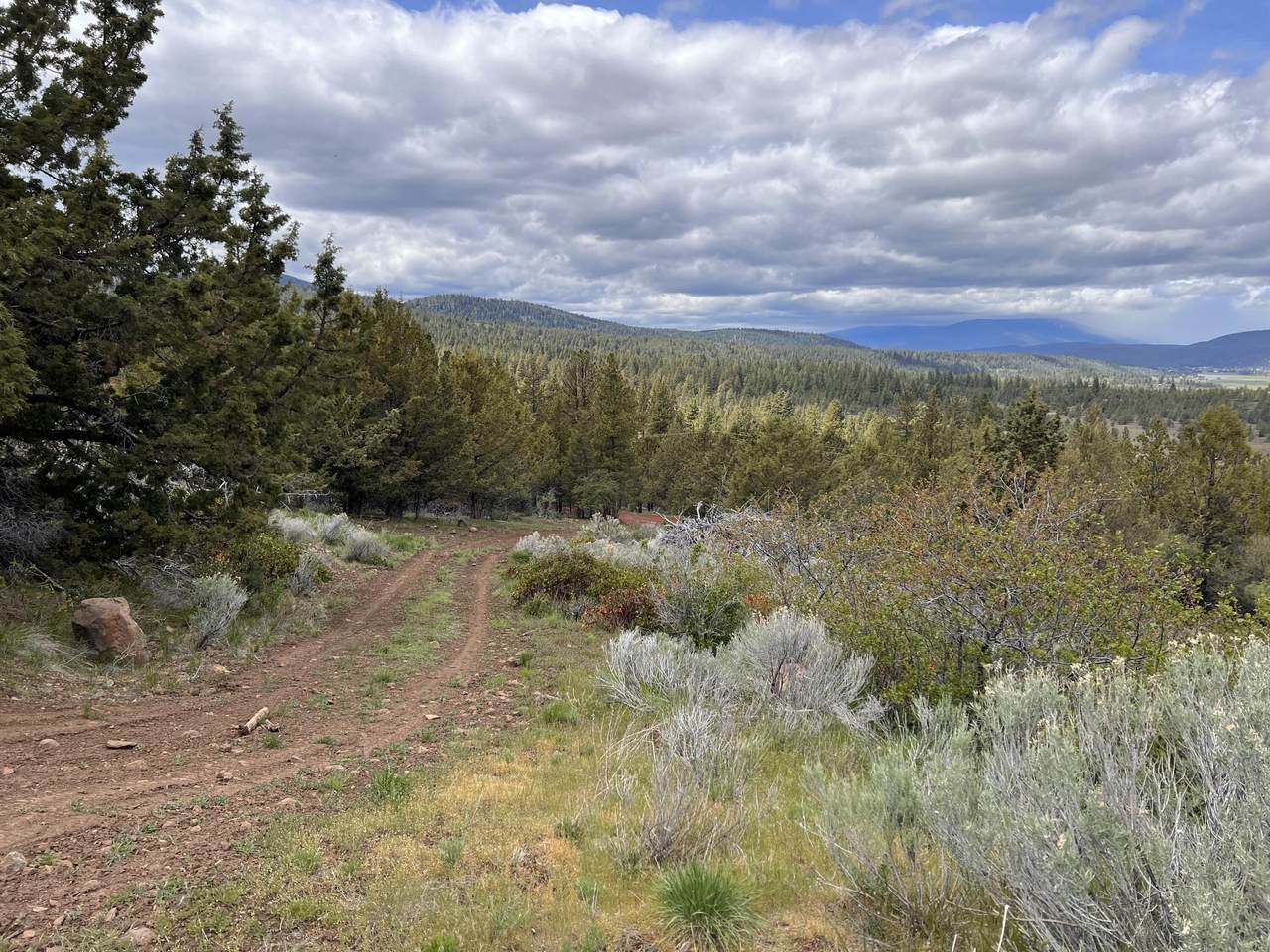 NKA 2 Pearson Butte Trail - Photo 1