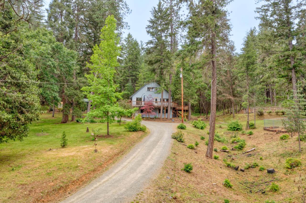 5836 Azalea Drive - Photo 1