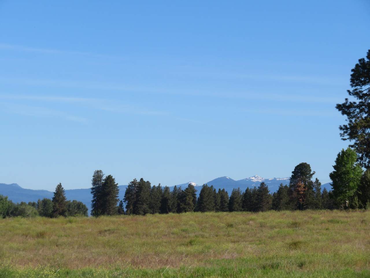Lot 10 Bennie Lane - Photo 1