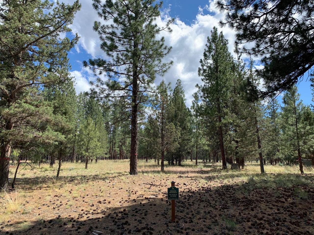 915 Coyote Springs Road - Photo 1