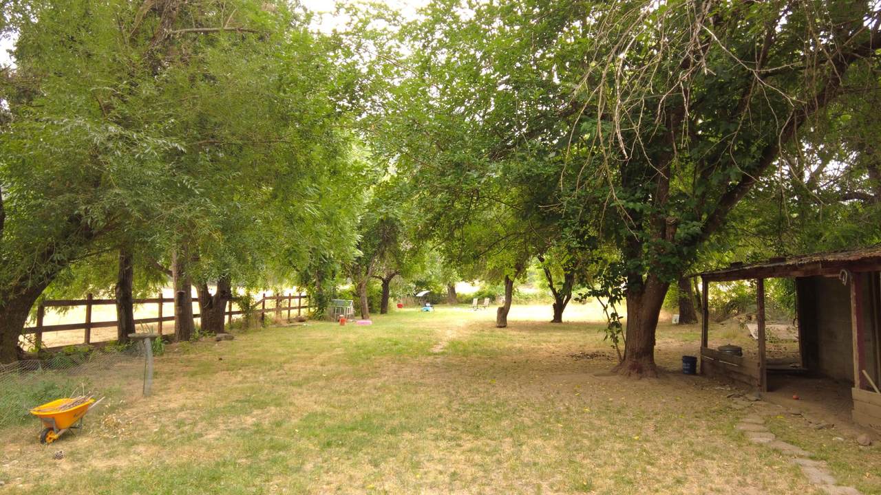 2815 Evans Creek Road - Photo 1