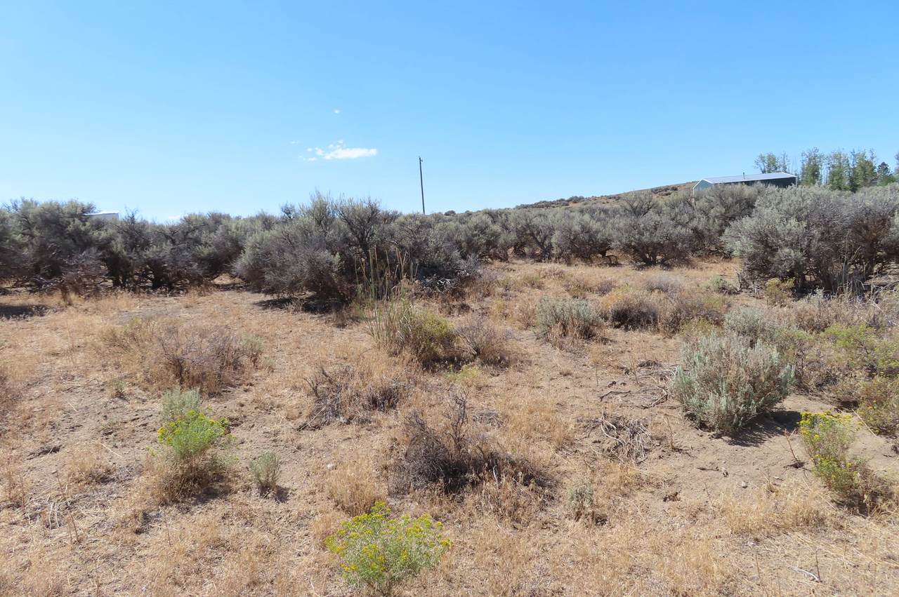 TL-600 Tl600 Cemetery-27S17e28ba00600 Road - Photo 1