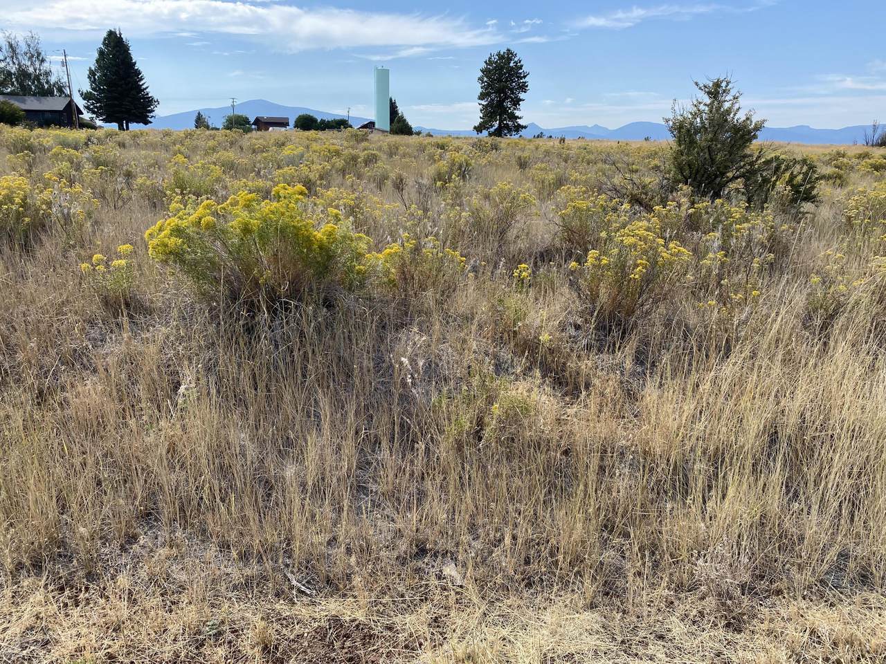 Pleasant View Road - Photo 1