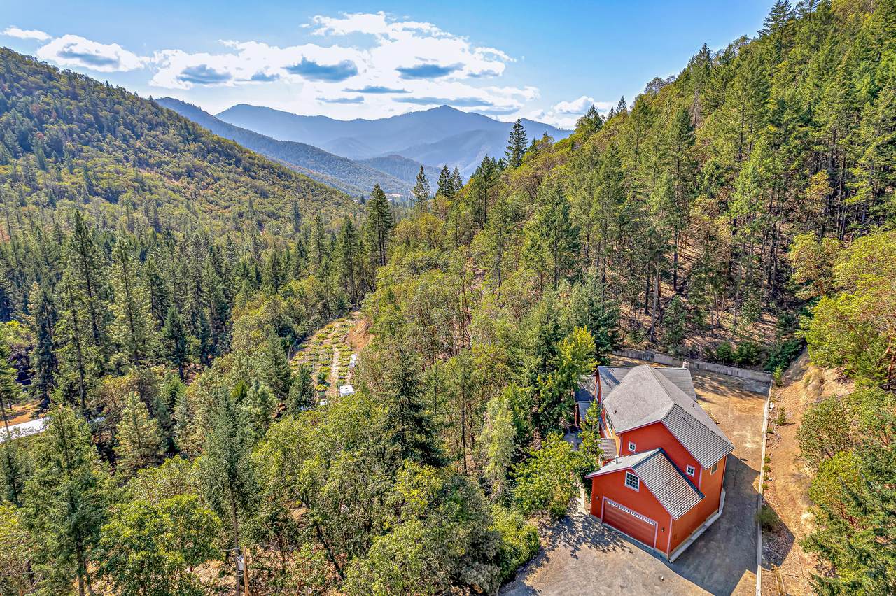 3141 Humbug Creek Road - Photo 1