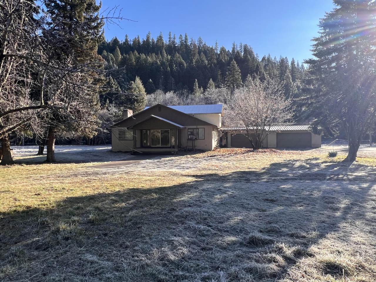 350 Sugar Pine Road - Photo 1