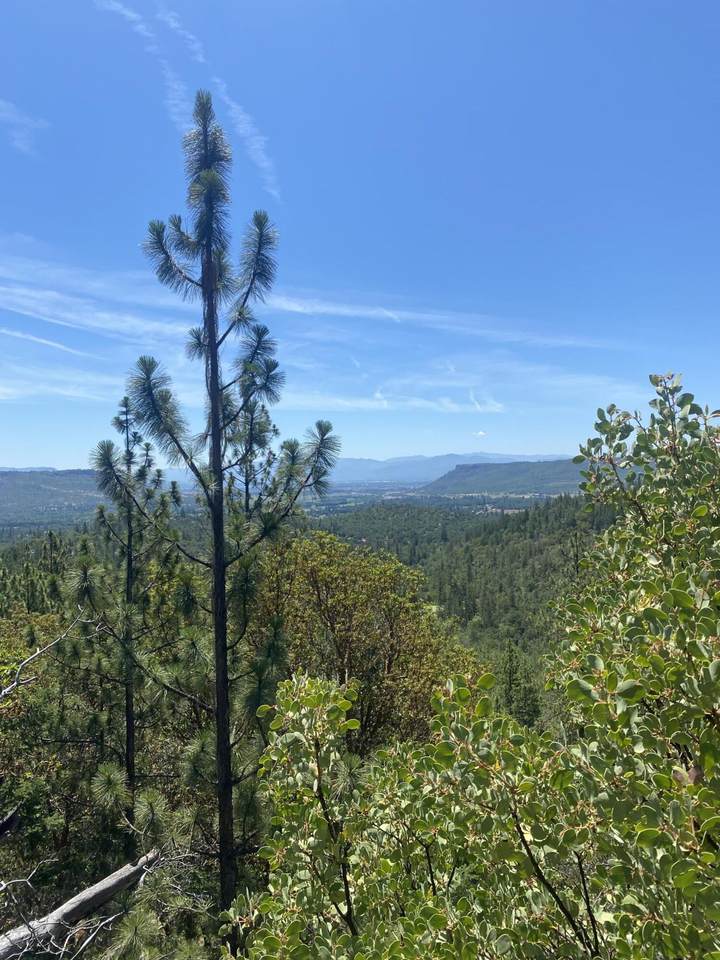 0 Duggan Road Lot 0403, Central Point, OR 97502 (MLS 220174816