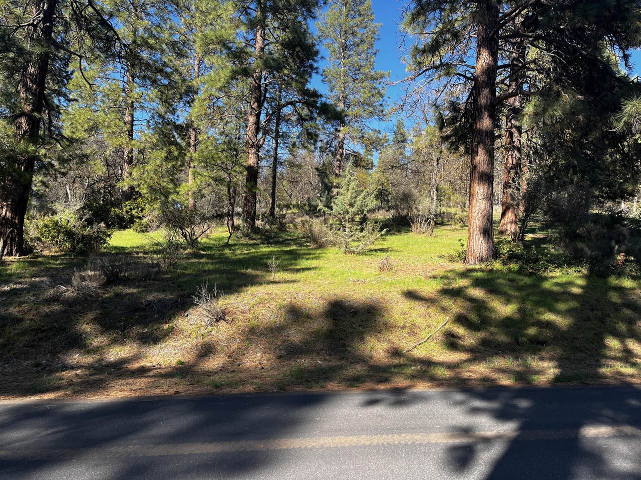 0 Merganser Road - Photo 1