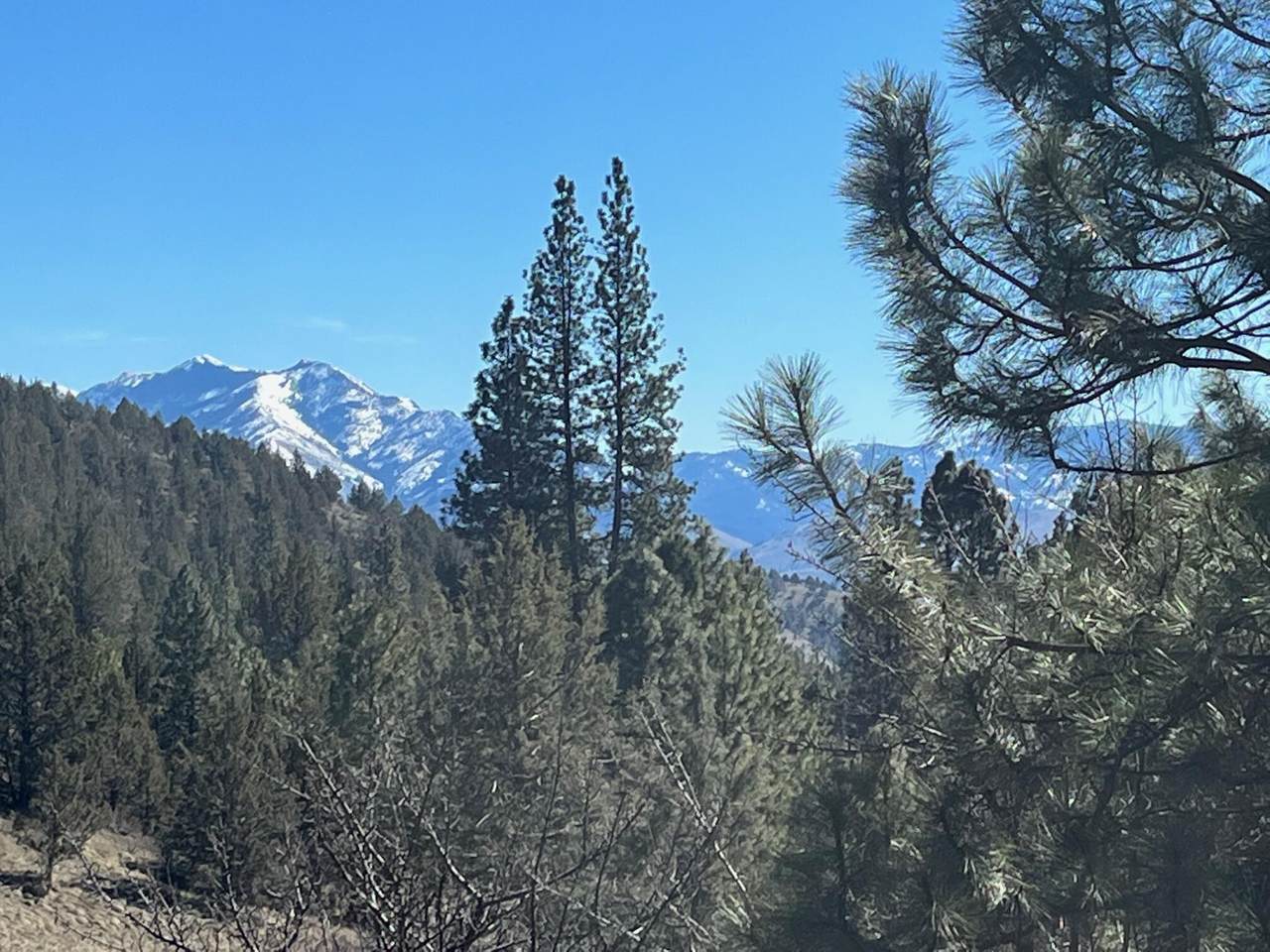 52960 Cummings Creek Road - Photo 1