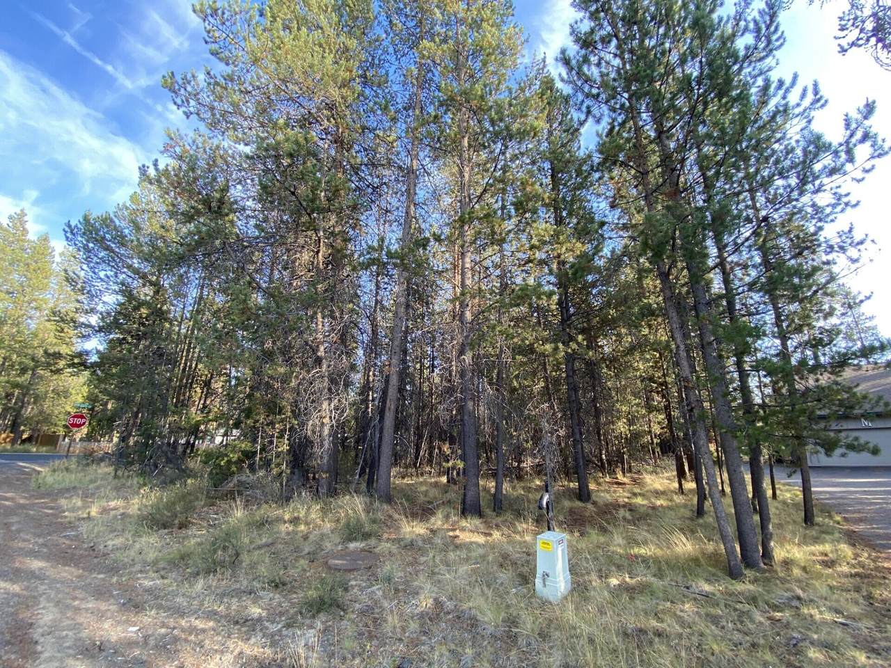 17269 Pintail Drive - Photo 1