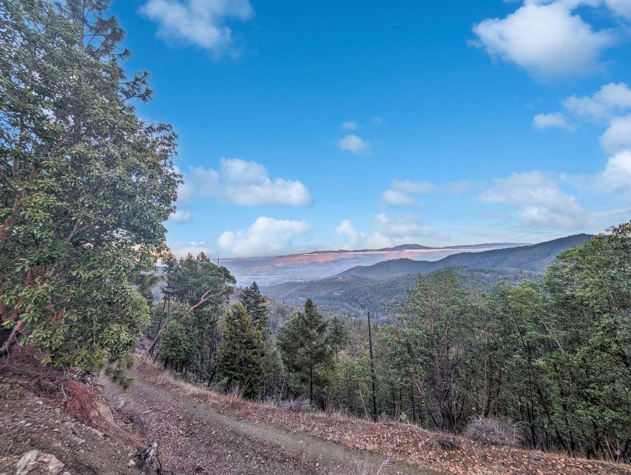  Coleman Cr Road - Photo 1