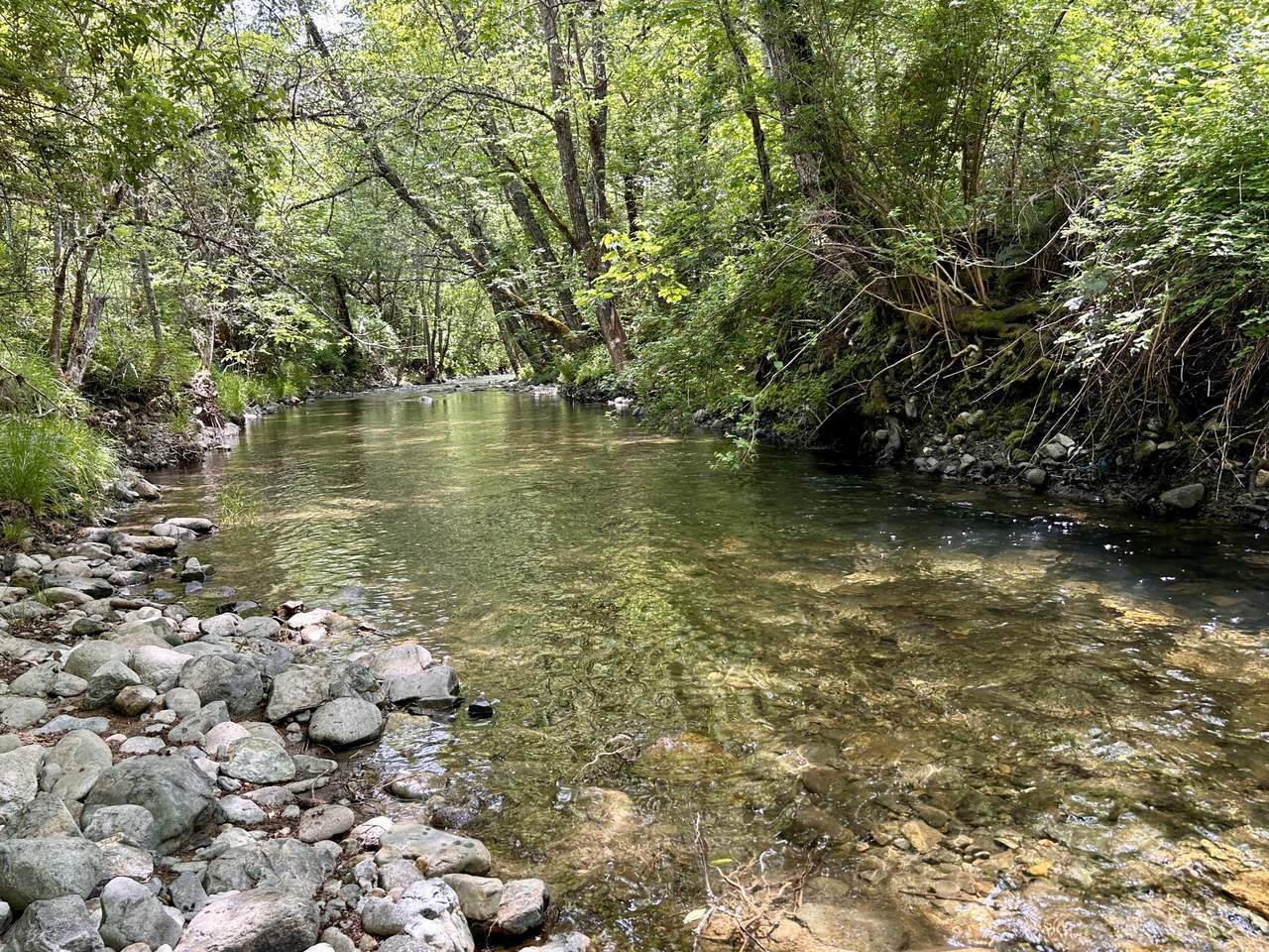 1773 Cedar Flat Road - Photo 1