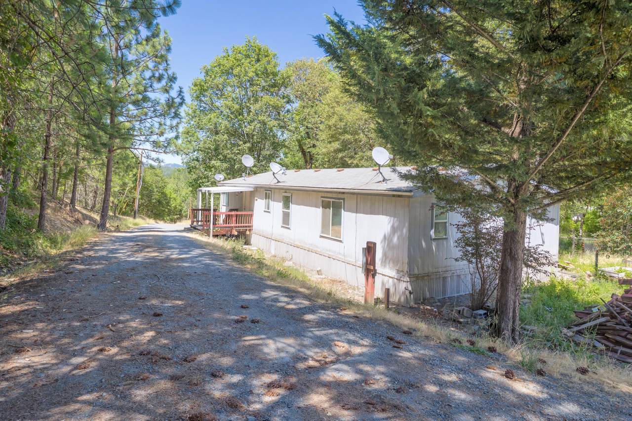 10517 Lower River Road - Photo 1