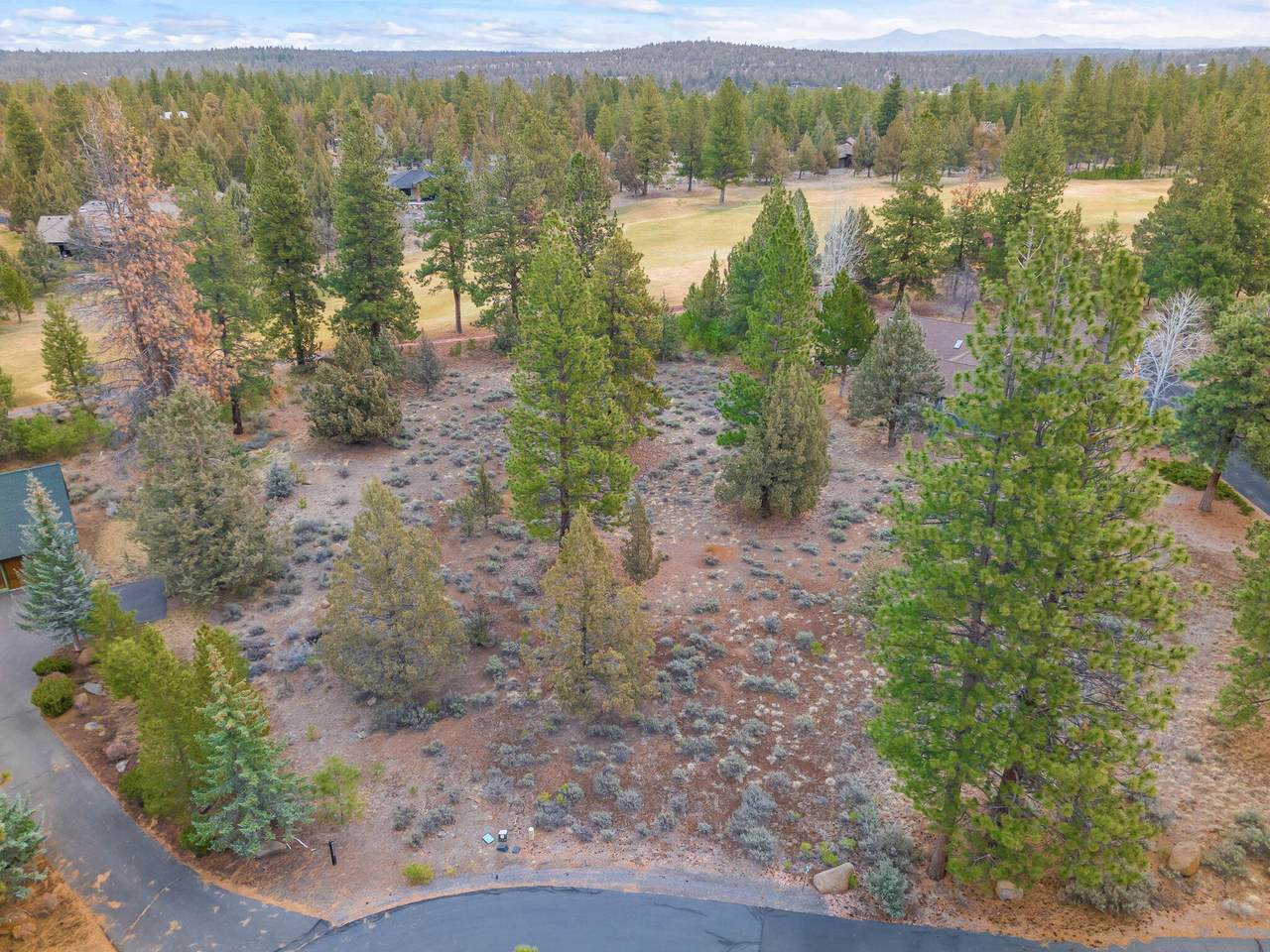 69130 Damsel Fly Court - Photo 1