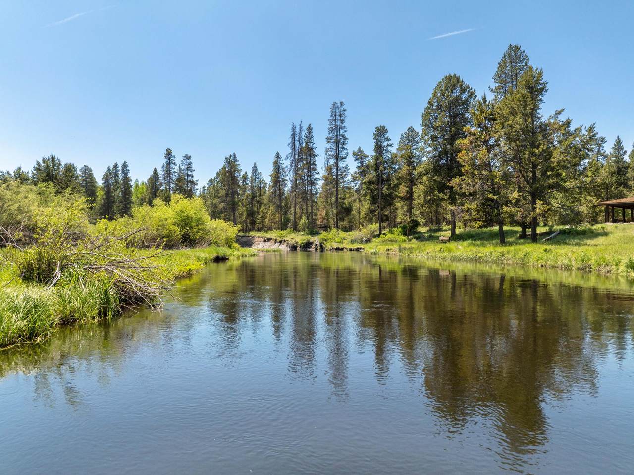 55855 Hashknife Road - Photo 1