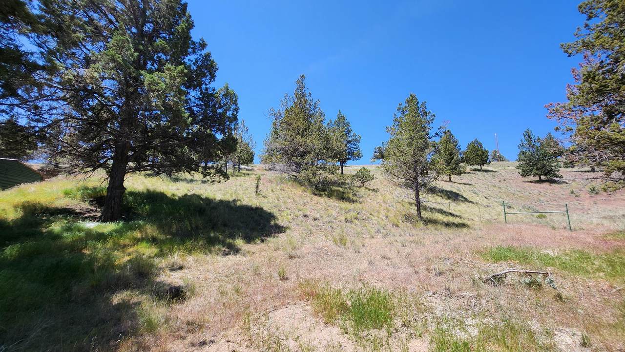 11574 Nye Avenue - Photo 1