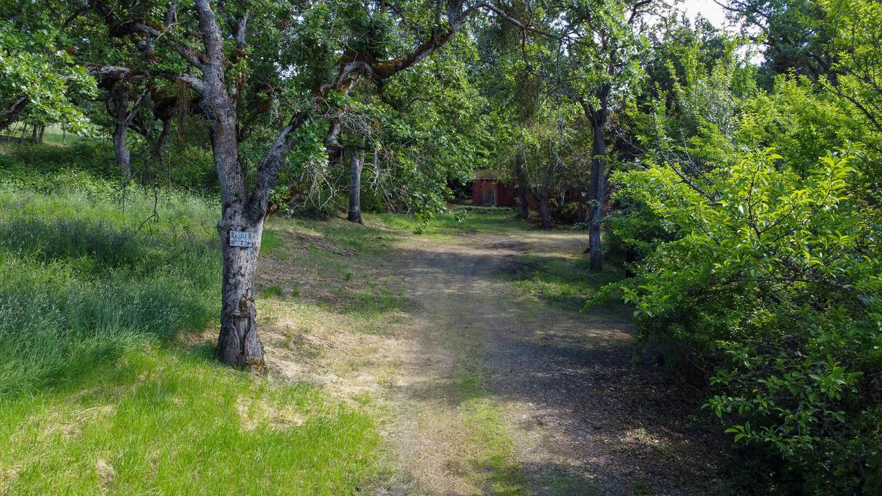 2616 Foothill Road - Photo 1