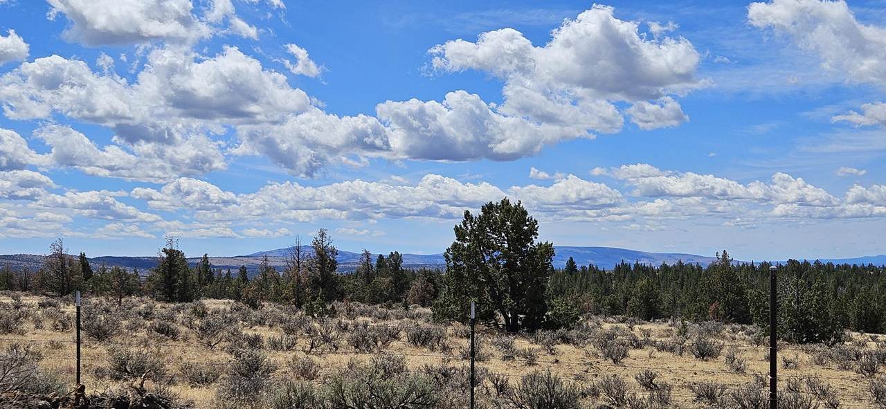 7537 Thomas Road - Photo 1