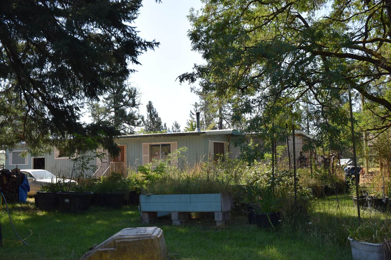 119 Patton Bar Road - Photo 1