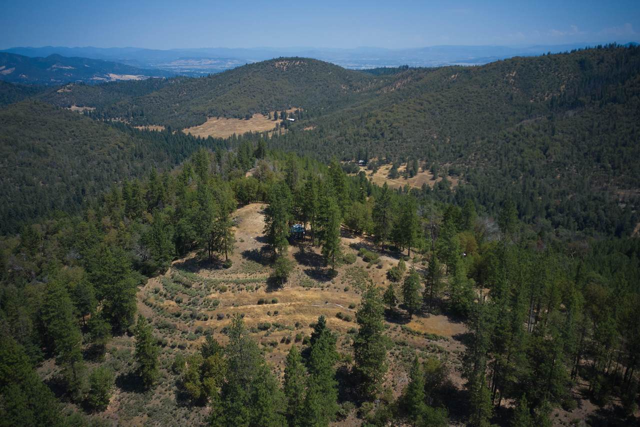 2541 Sterling Creek Road - Photo 1