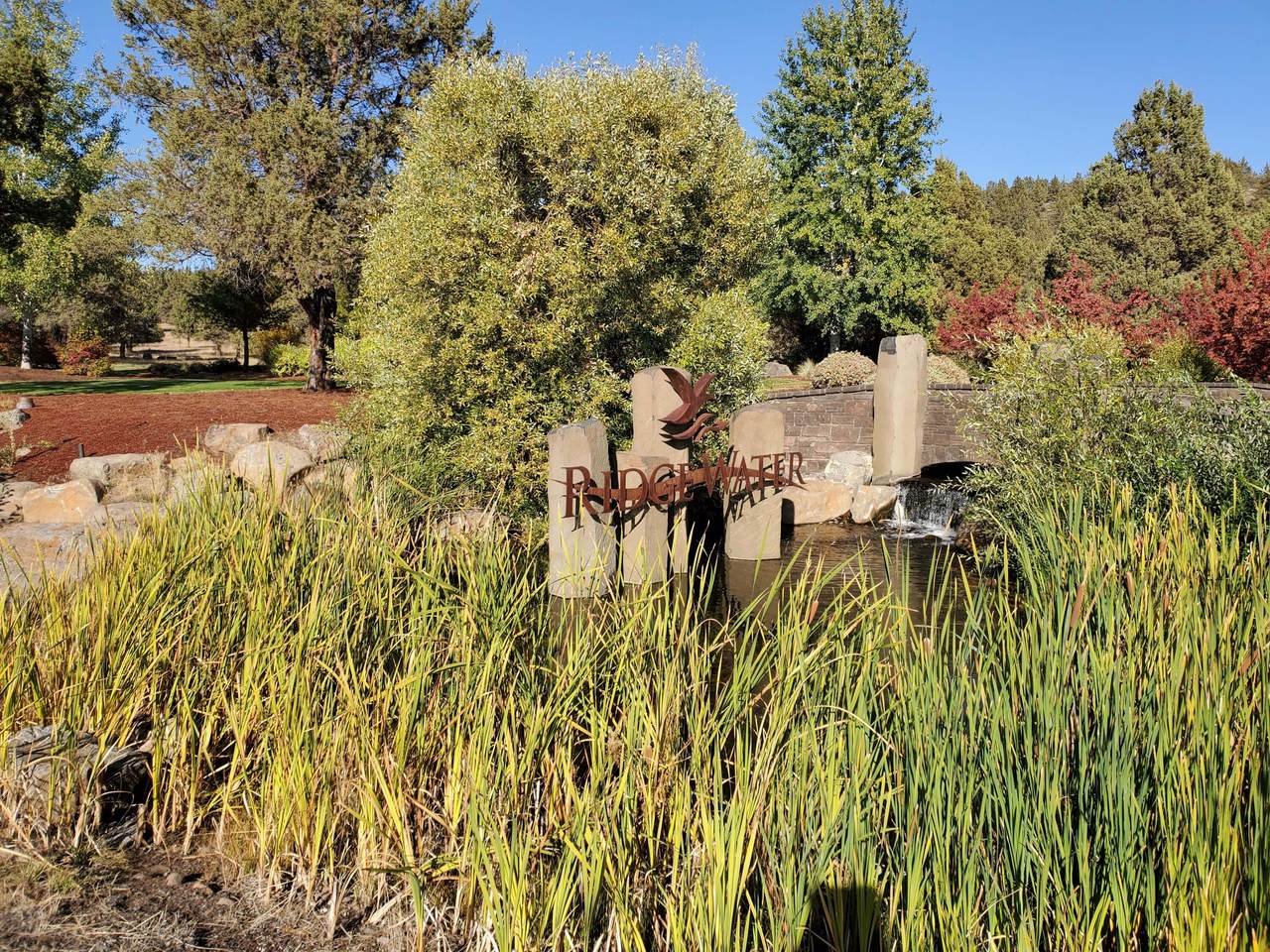 983 Bailey Mountain Road - Photo 1