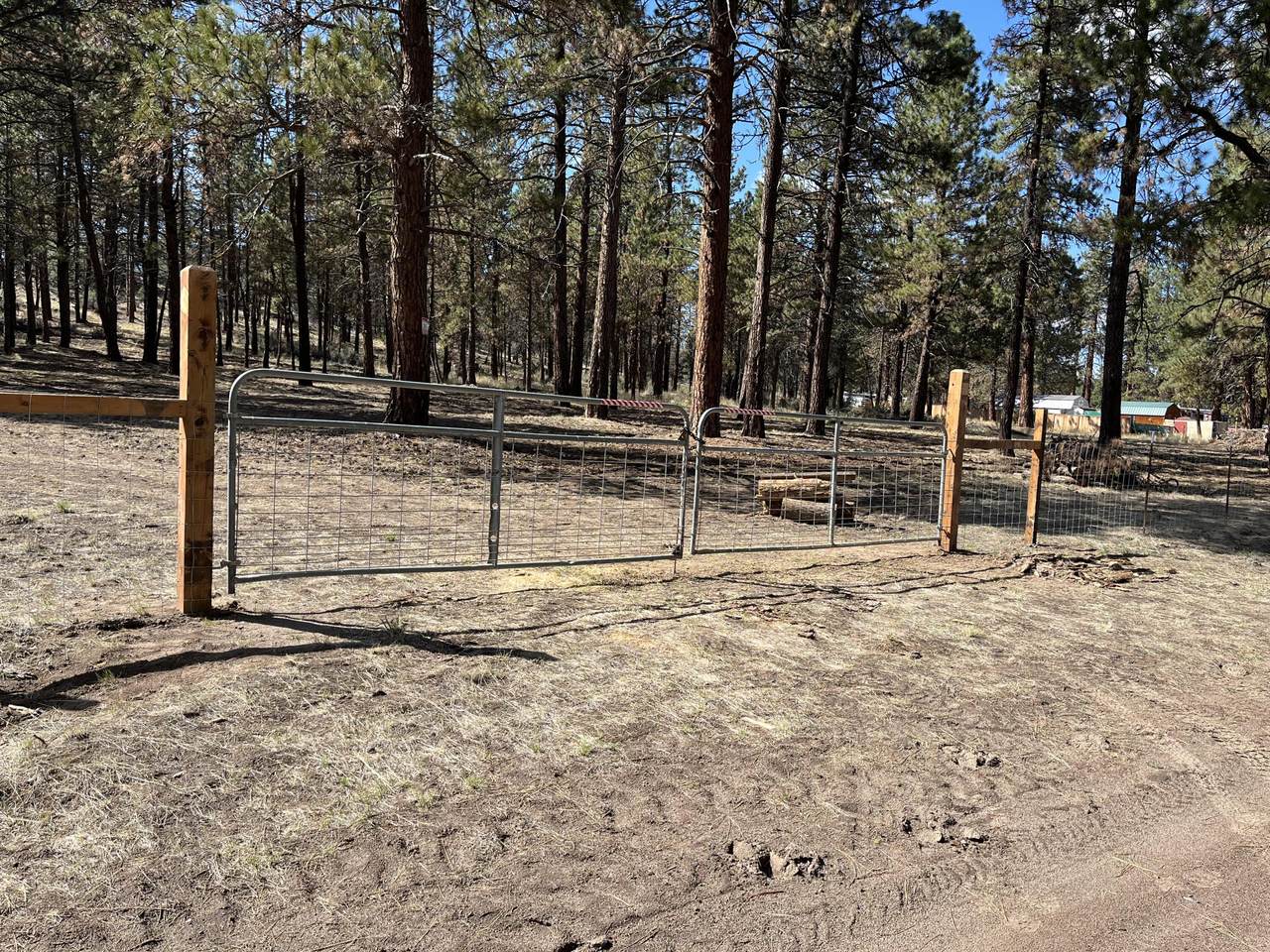 0 Mina Bird - Photo 1