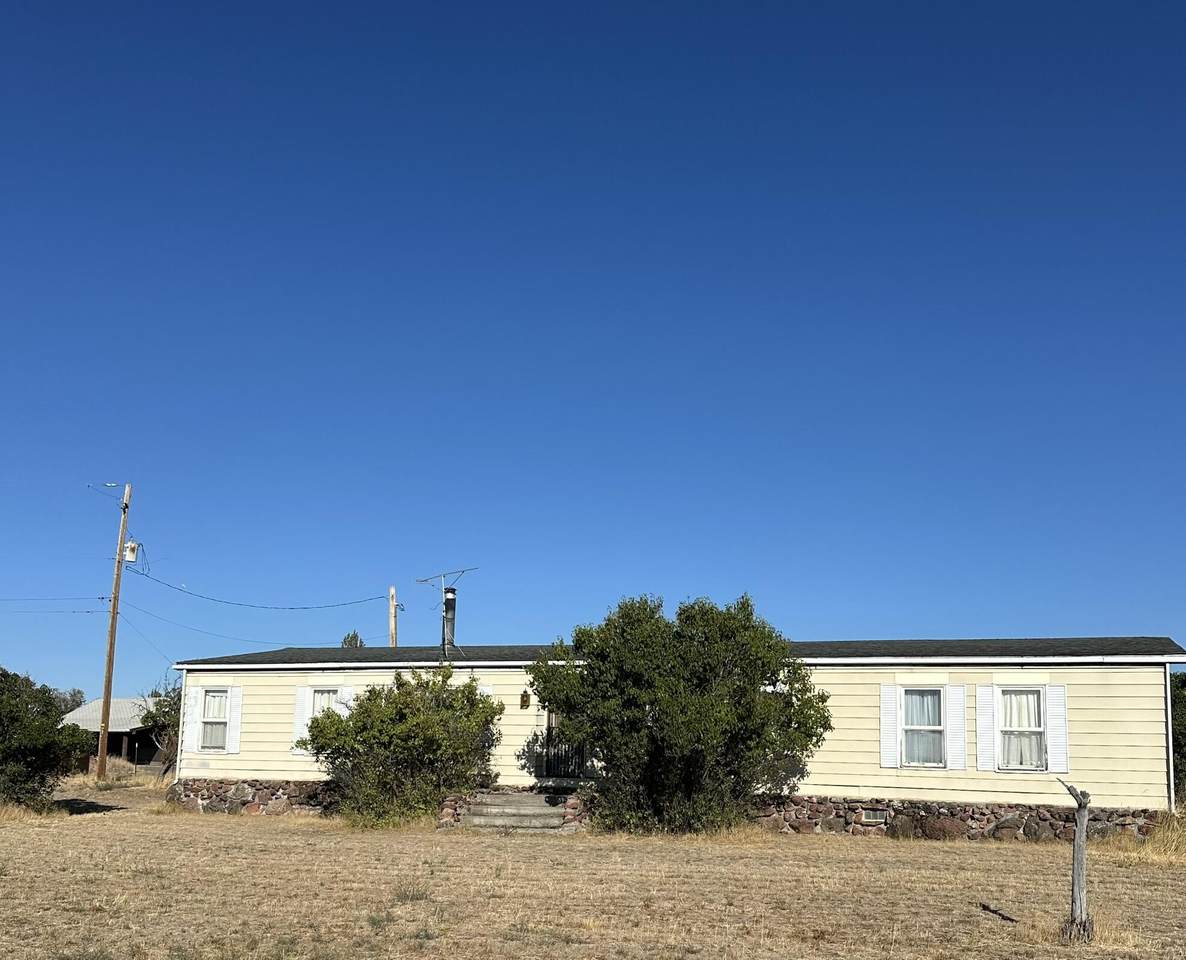 250 Steele Street - Photo 1