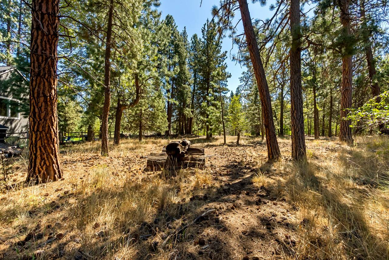 380 Timber Creek Drive - Photo 1