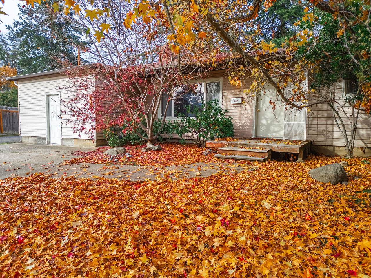 1533 Lenora Drive - Photo 1