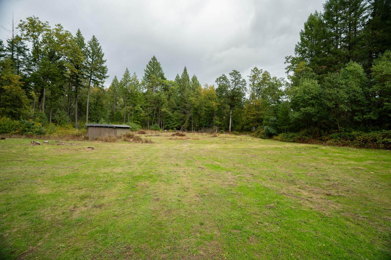 709 Pinewood Way - Photo 1