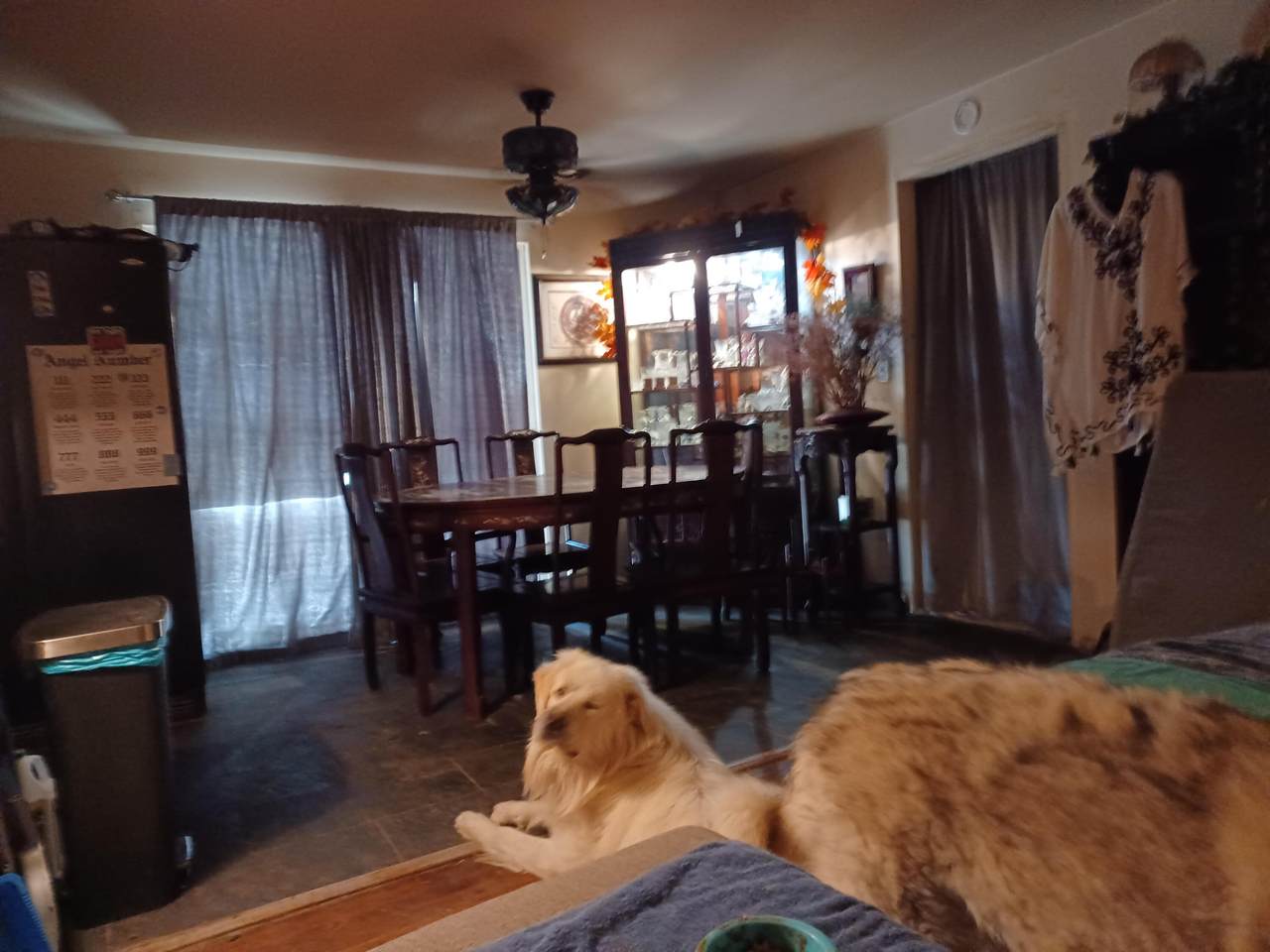 533 Park Avenue - Photo 1