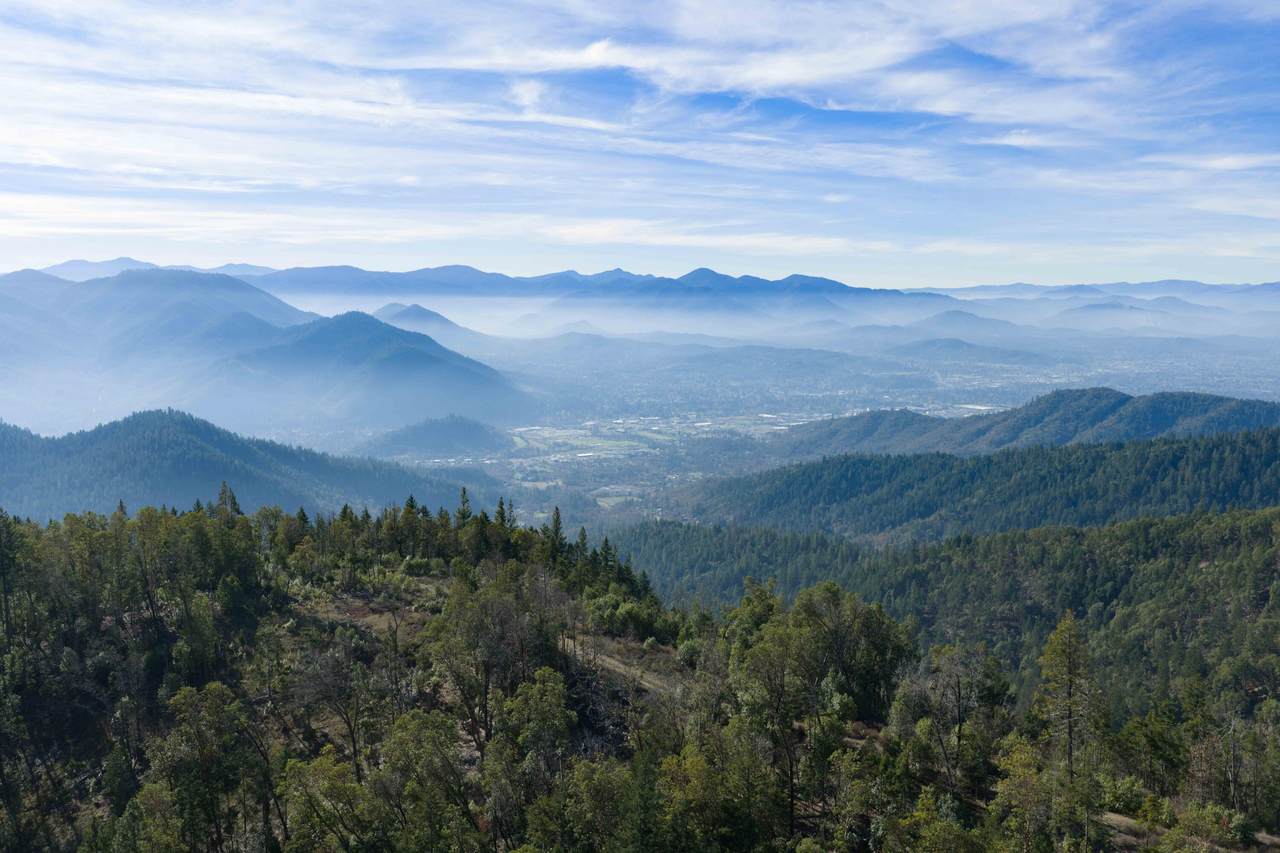 4000 Jones Creek Road - Photo 1