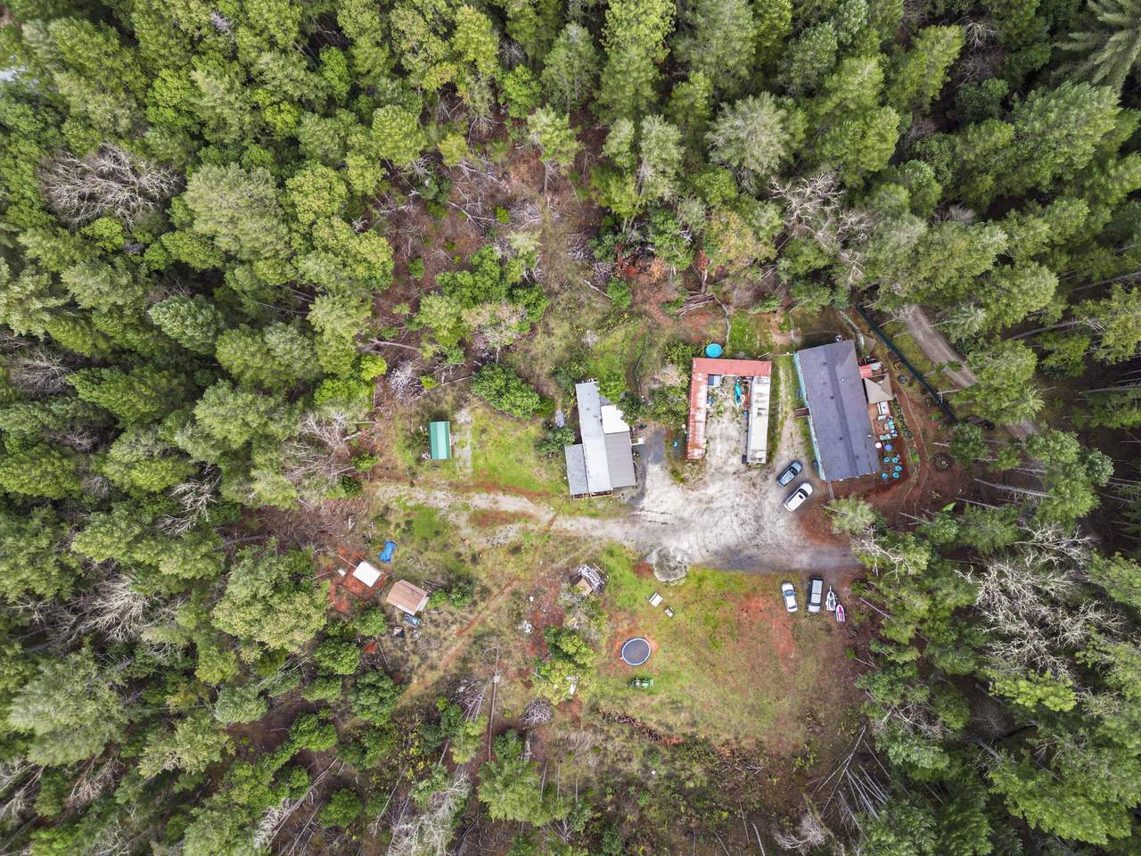 480 Daily Lane - Photo 1