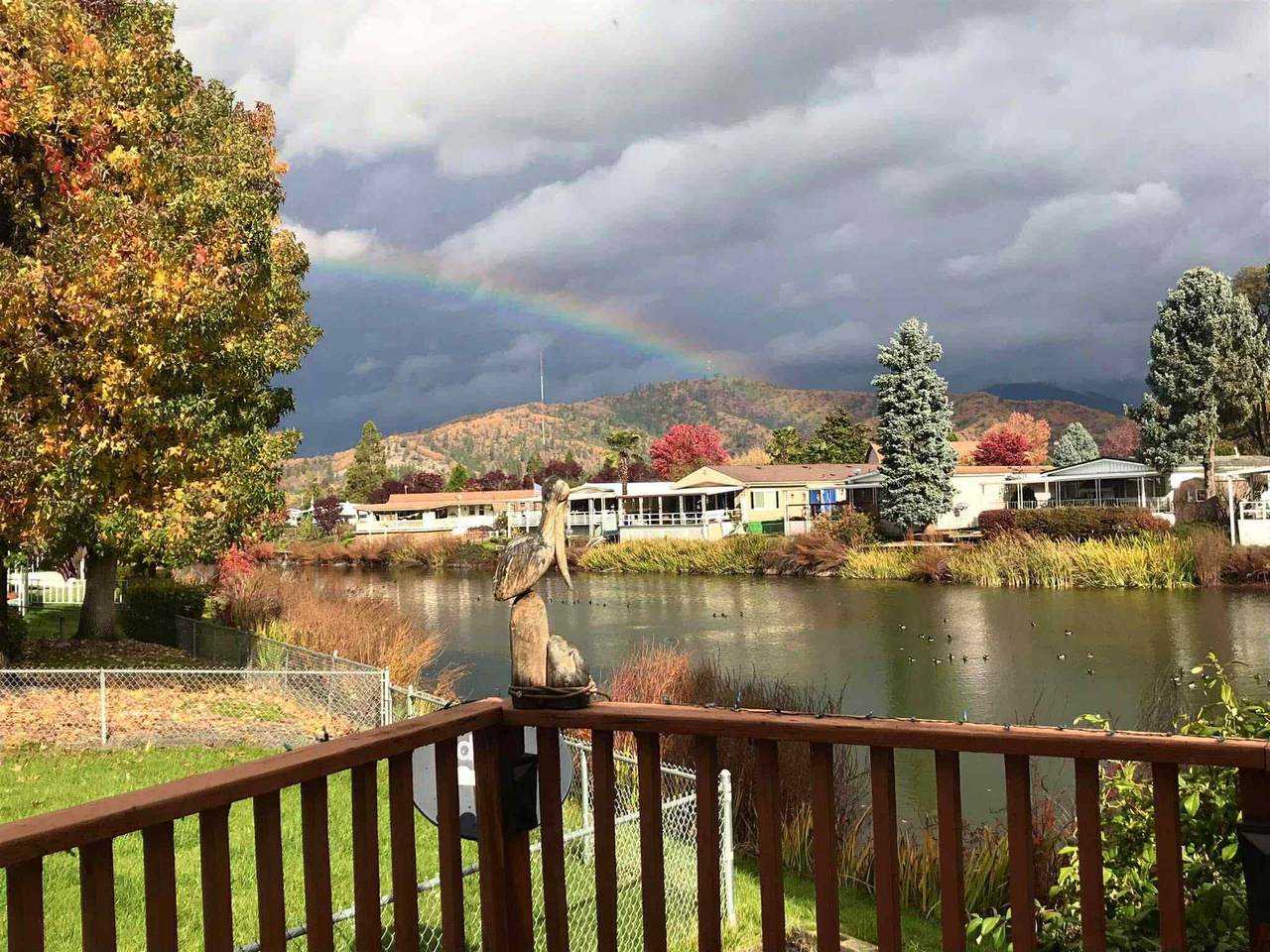 405 Currie Lane - Photo 1