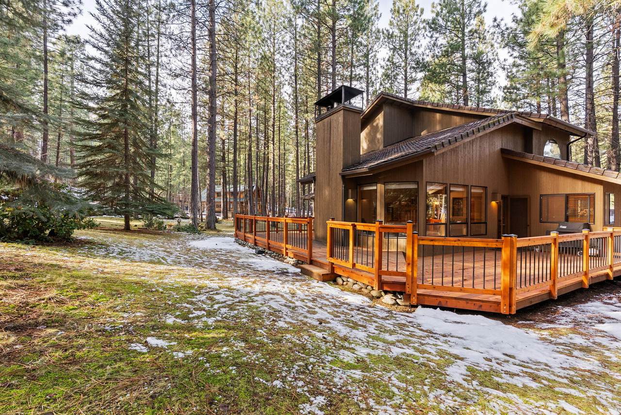 70368 Mahonia - Photo 1