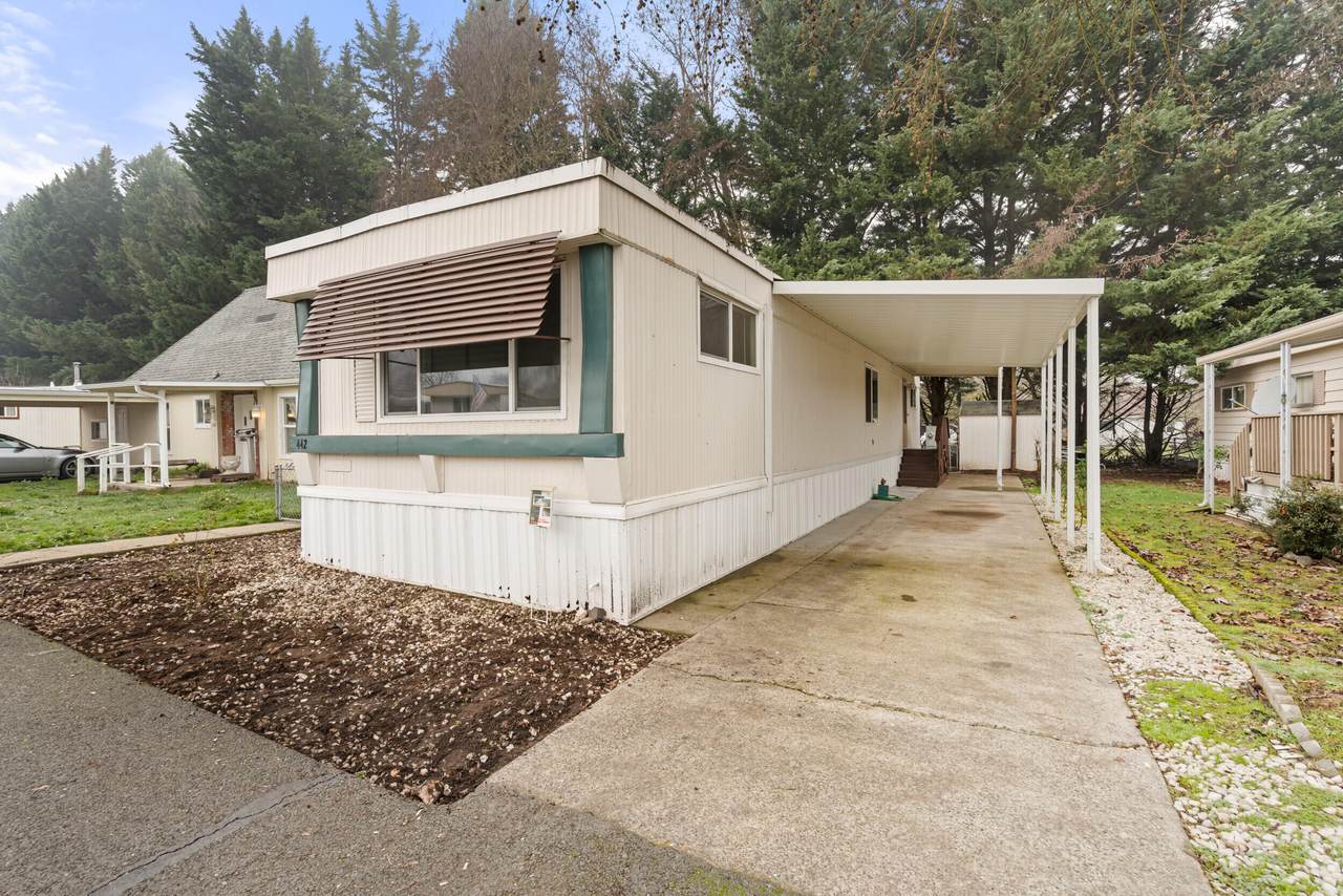 442 Ashwood Drive - Photo 1